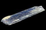 Vibrant Blue Kyanite Crystal - Brazil #118839-1